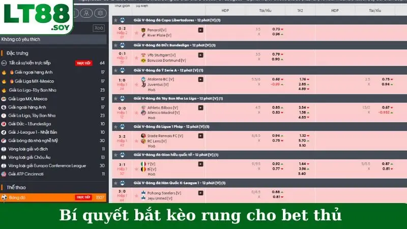 Bí quyết bắt kèo rung cho bet thủ