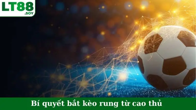 Bí quyết bắt kèo rung từ cao thủ