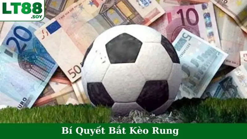 Bí Quyết Bắt Kèo Rung