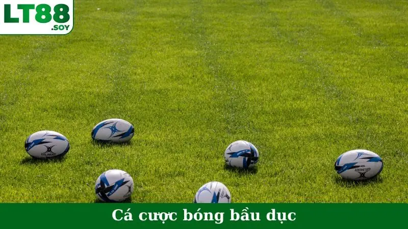 Cá Cược Bóng Bầu Dục