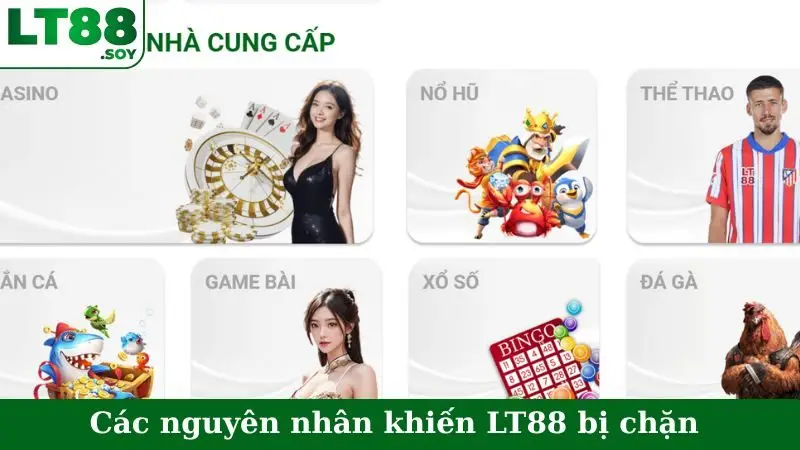 Các nguyên nhân khiến LT88 bị chặn