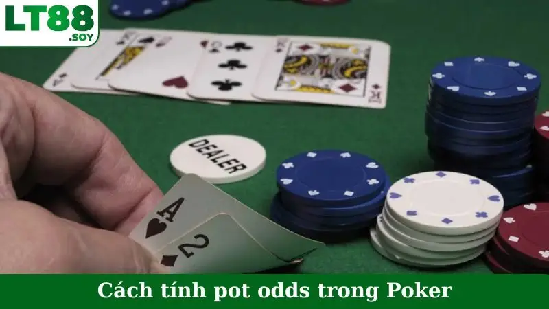 Cách Tính Pot Odds Trong Poker