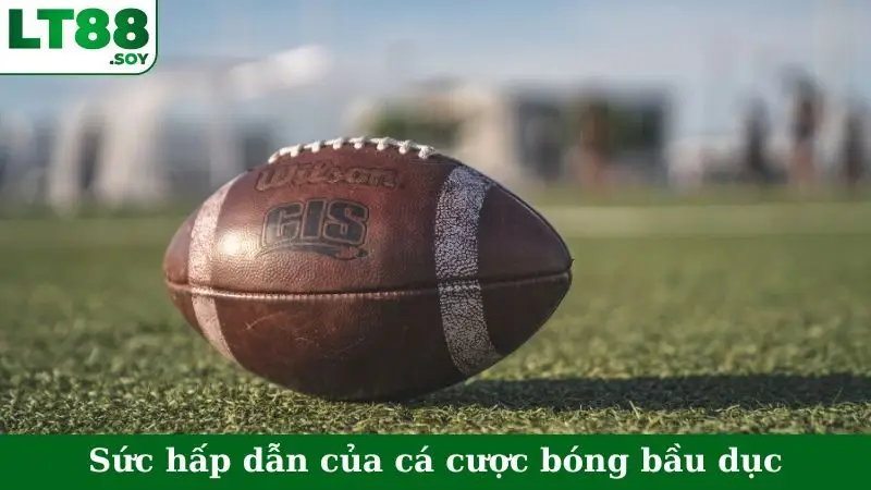 Sức hấp dẫn của cá cược bóng bầu dục