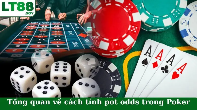 Tổng quan về cách tính pot odds trong Poker